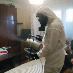 Дезинфекция от клопов в Щекино