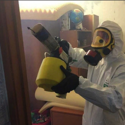 Уничтожение клопов в квартире. Щекино